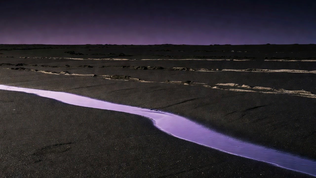 A fresh tide-line glowing violet beside older dried tide marks on black sand